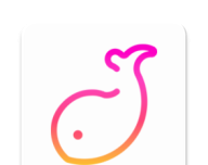 伴鱼音乐