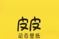 皮皮动态壁纸图标