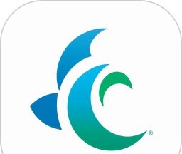 风信子游戏logo图
