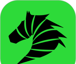 斑马视频logo图