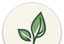 LeviLauncher启动器logo图