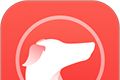 灵缇游戏加速器logo图