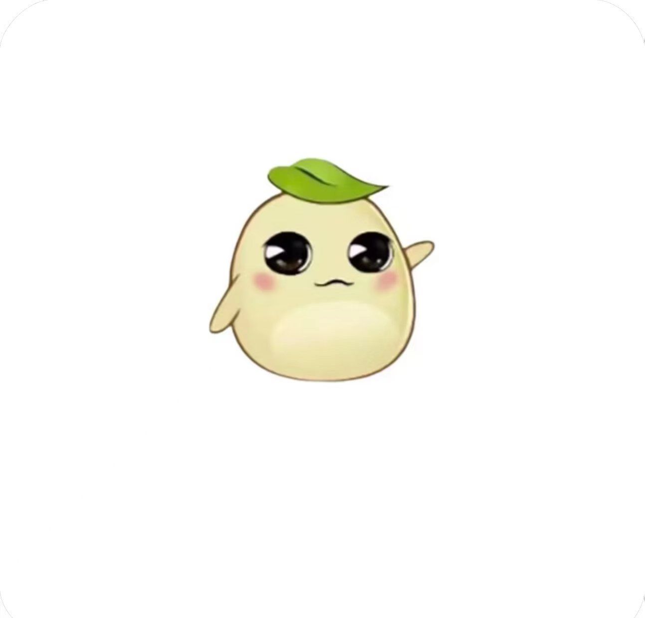毛豆直装logo图