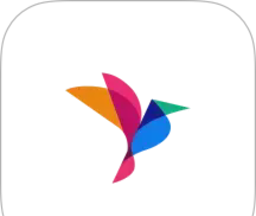 高考纸鸢logo图