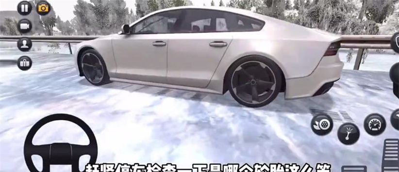 卡车模拟器终极版 国际服