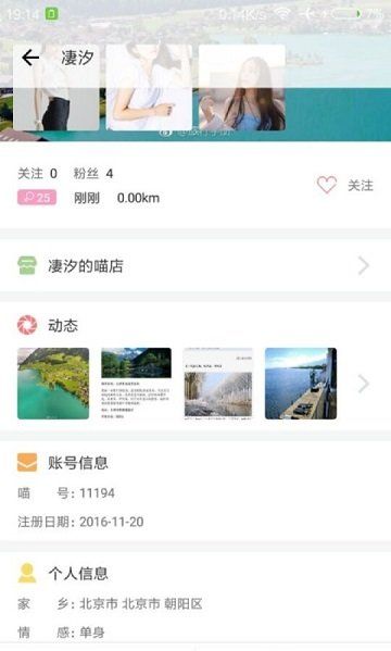 自游猫