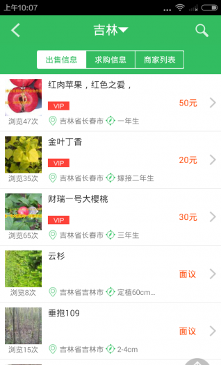 苗木通