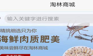 淘林商城