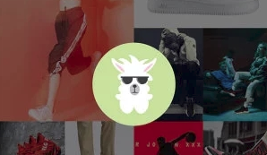潮品羊驼