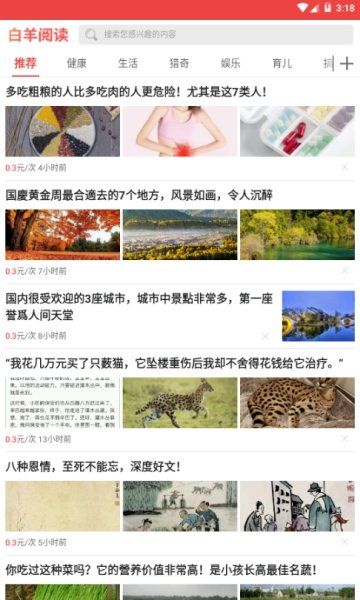 白羊阅读