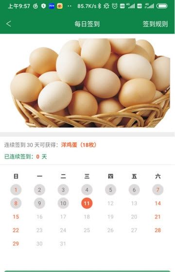 爱登王