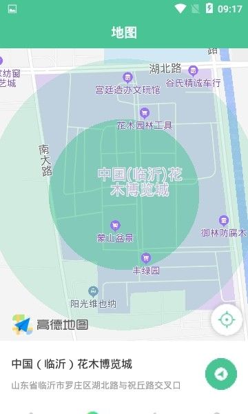 掌上花木