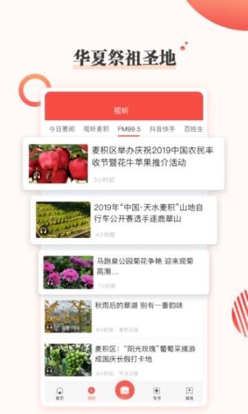 掌中麦积