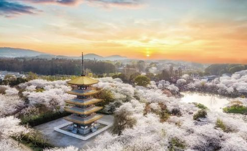 云上武汉