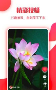 小糖糕