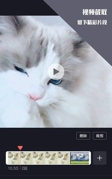 vlog视频剪辑