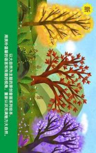 渡渡绘本