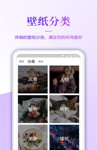 壁纸无忧