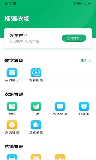 云上观展
