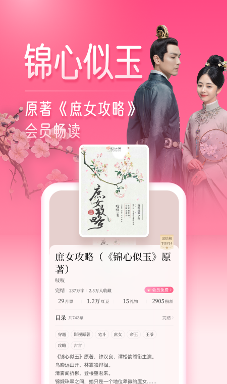 红袖读书
