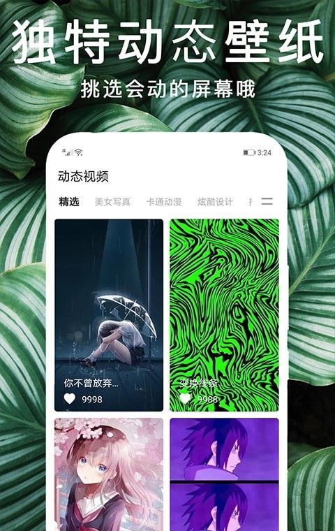 灵猫桌面壁纸