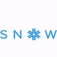滑雪:终极版