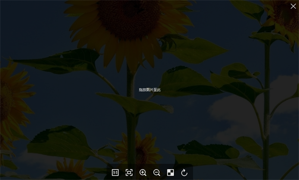 菠萝看图(Pineapple Pictures)截图