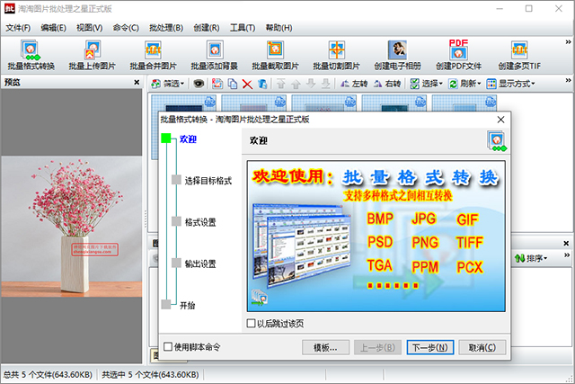 淘淘图片批处理之星截图