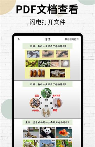 PDF阅读器