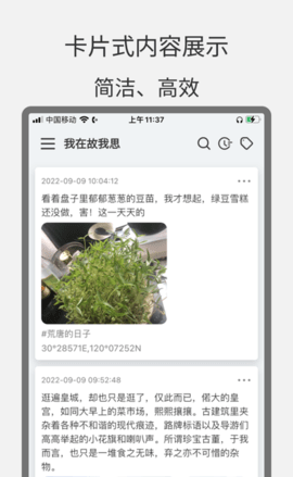 金宝乐园