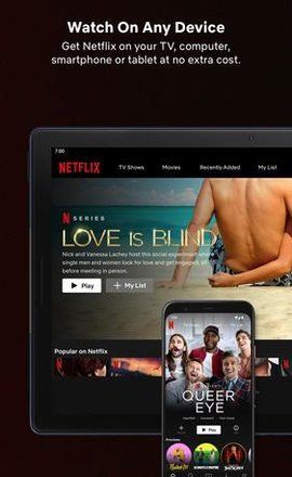 奈飞(Netflix)
