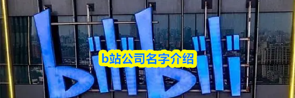 b站公司名字介绍