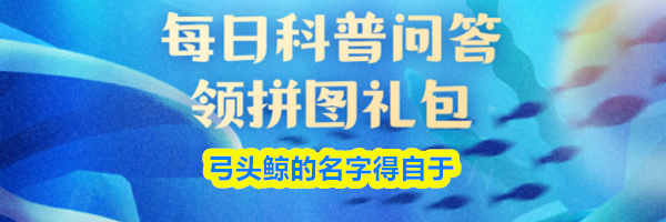 弓头鲸的名字得自于