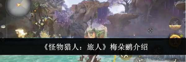 《怪物猎人:旅人》梅朵鹂介绍