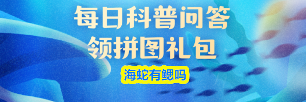 海蛇有鳃吗