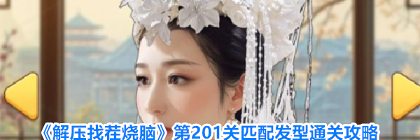 《解压找茬烧脑》第201关匹配发型通关攻略
