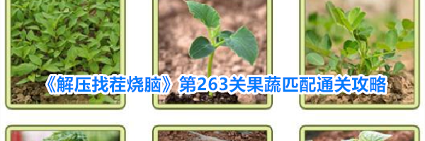 《解压找茬烧脑》第263关果蔬匹配通关攻略
