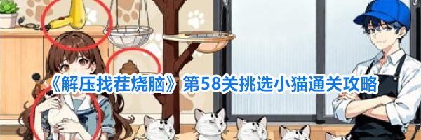 《解压找茬烧脑》第58关挑选小猫通关攻略