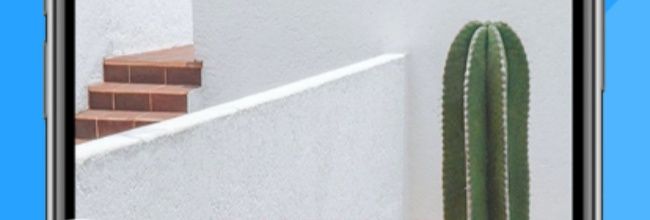 蓝狐盒子官方下载