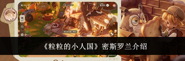 《粒粒的小人国》密斯罗兰介绍