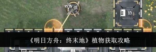 《明日方舟：终末地》植物获取攻略