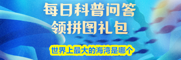世界上最大的海湾是哪个