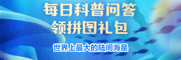 世界上最大的陆间海是