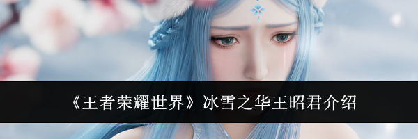 《王者荣耀世界》冰雪之华王昭君介绍