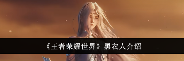 《王者荣耀世界》黑衣人介绍