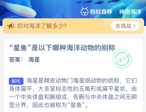 星鱼是以下哪种海洋动物的别称