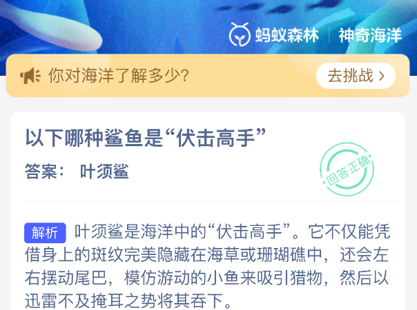 以下哪种鲨鱼是伏击高手